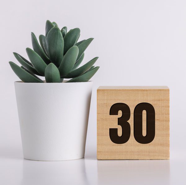 Image of a plant next to the number 30 engraved in a wood block representing 30 days